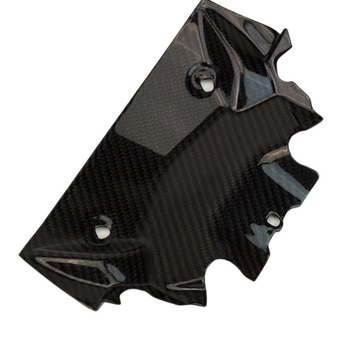 Carbon Fiber Front Chin For BMW S1000RR (2025+)