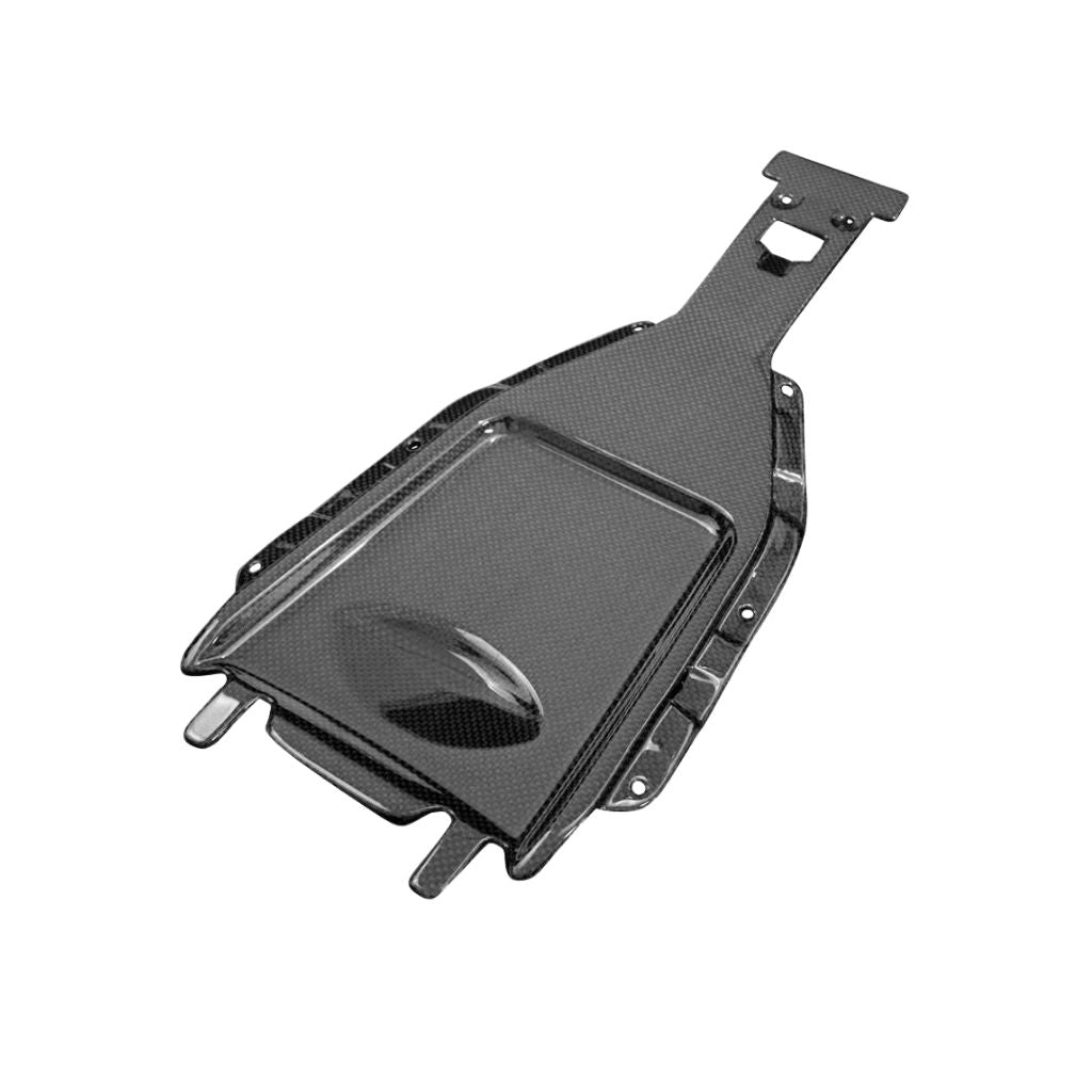Carbon Fiber Underseat Cover For Yamaha MT-09 (2025+)