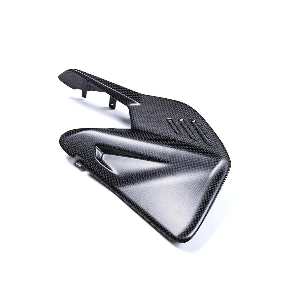 Carbon Fiber Swingarm Guard For Ducati Panigale V4 V4S (2025)